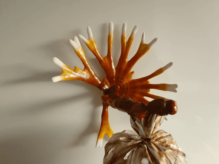 grown reishi in bag sprouted outwards on warm-colored background